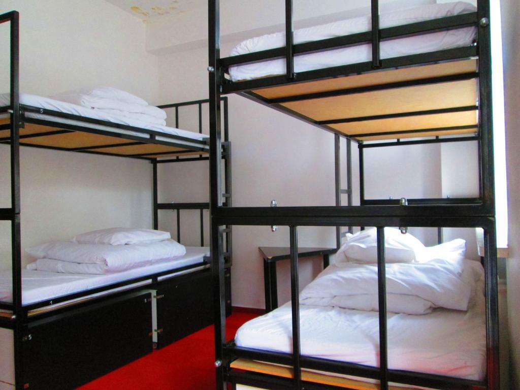 Wilson Hostel Warszawa Номер фото